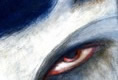 winter eye