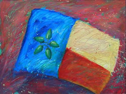 TexMex Flag
