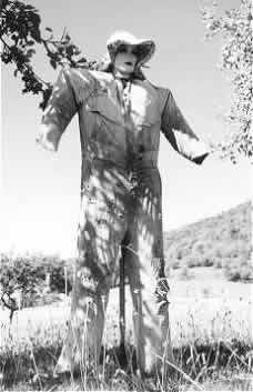 Scarecrow