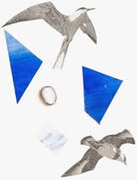 The Invention of Questions