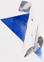 Confused Wings Which Thought Themselves Teeth