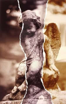 Bewildered by Edgar Solis